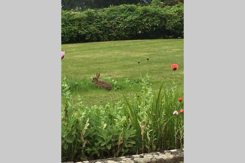 Stay On The Grounds Of This Beautiful Manor House Wimborne Minster Extérieur photo