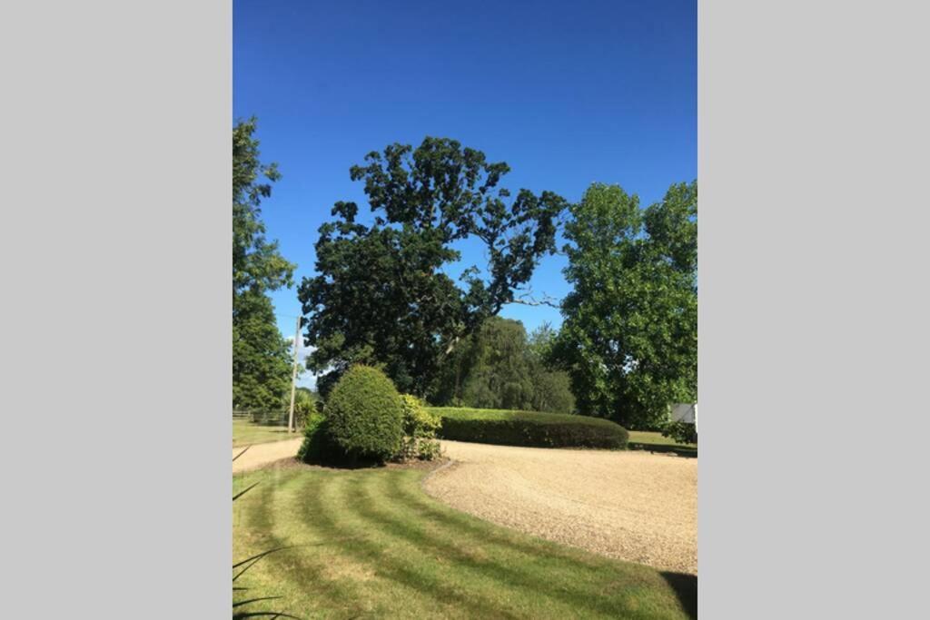 Stay On The Grounds Of This Beautiful Manor House Wimborne Minster Extérieur photo