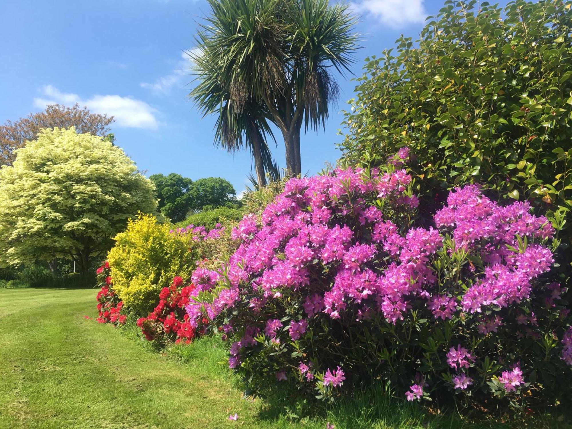 Stay On The Grounds Of This Beautiful Manor House Wimborne Minster Extérieur photo